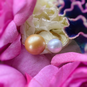 一点もの　south sea tahiti   pearl ring No.14 - hikari pearl.