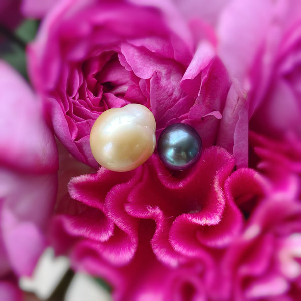 一点もの　south sea tahiti  pearl ring No.15 - hikari pearl.