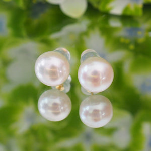 14kgf  Fresh water button  pearl ピアス - hikari pearl.